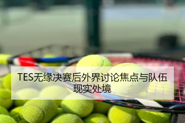 TES无缘决赛后外界讨论焦点与队伍现实处境